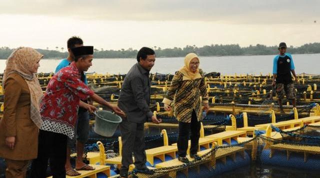 Pandeglang Lumbung Perikanan di Provinsi Banten