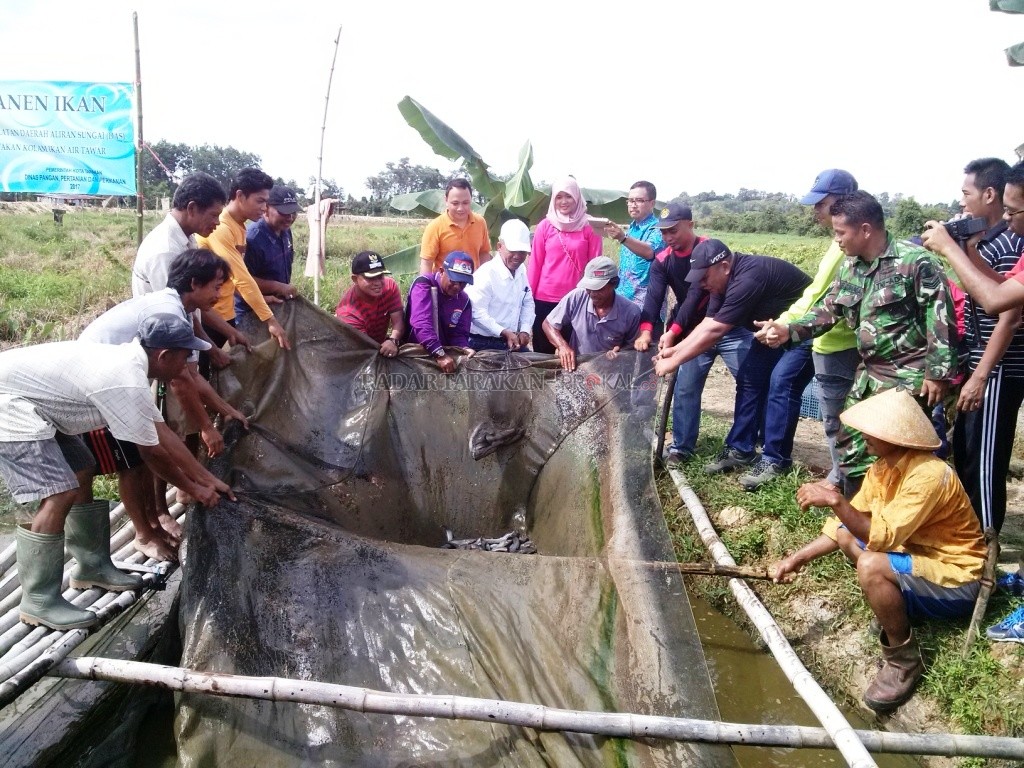 Manfaatkan Lahan Tidur dengan Membuat Kolam Ikan